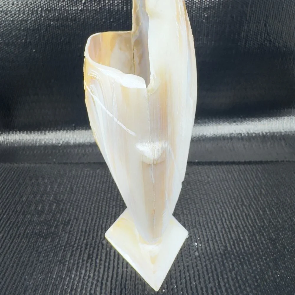 Vintage Mother of Pearl Nautalis Shell Footed Vase‎ Shiny Finish Hand Made Vase
